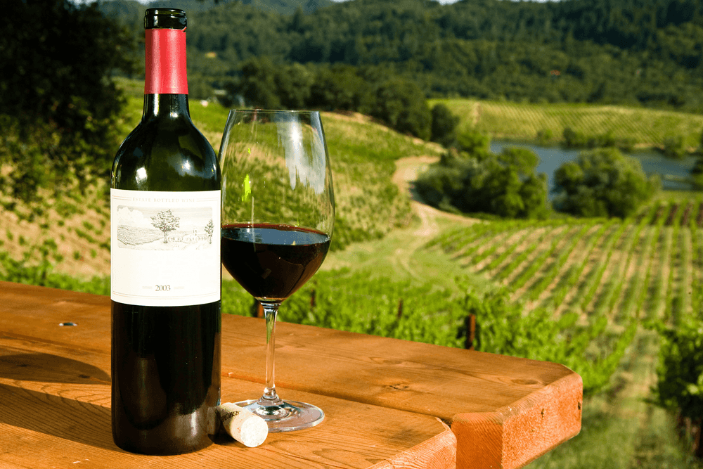 wine bottle with wine glass with red wine on wood table overlooking vineyard